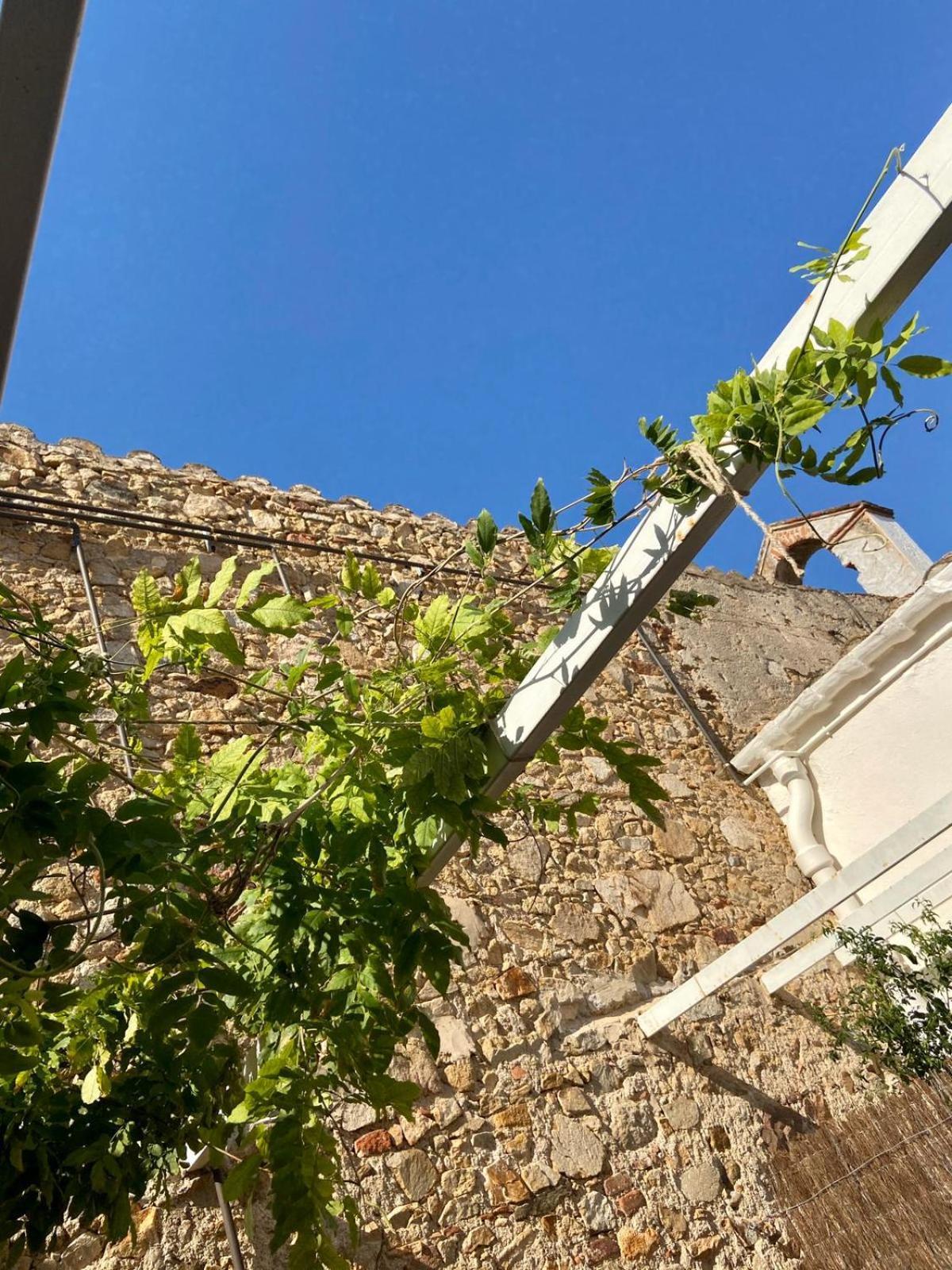 Ecoturisme Mas Ribas Hotel ปาลามอส ภายนอก รูปภาพ