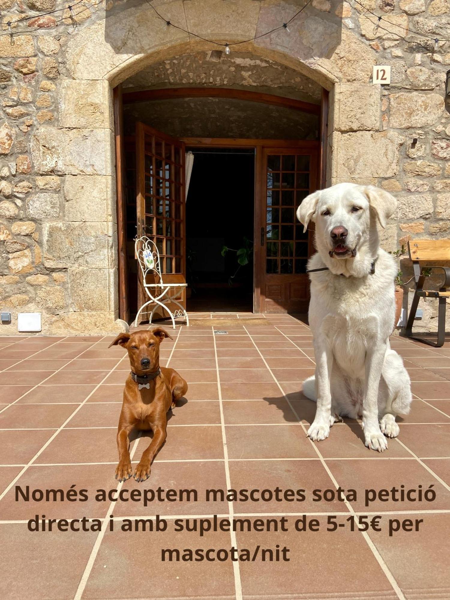 Ecoturisme Mas Ribas Hotel ปาลามอส ภายนอก รูปภาพ